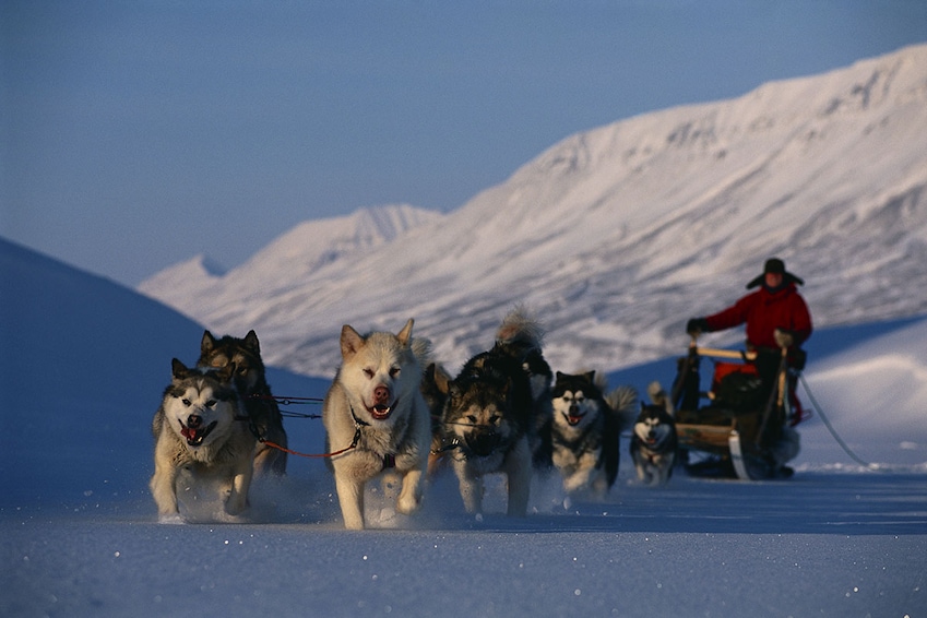 Spitzberg, voyage au-delà du cercle polaire - TUI