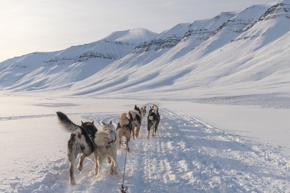 Spitzberg, voyage au-delà du cercle polaire - TUI