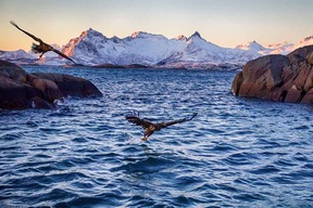 Trollfjord