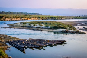 Parc National de Chitwan