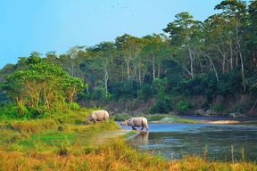 Parc National du Chitwan