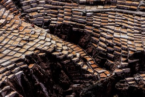 Maras