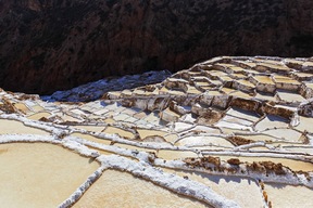 Maras