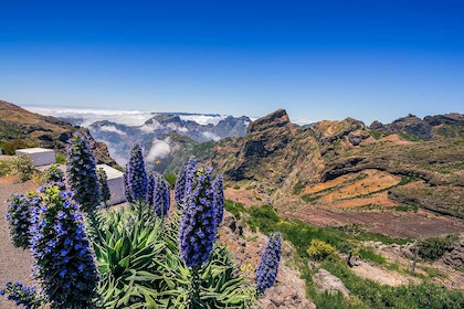 Autotour Madère, douce nature - TUI