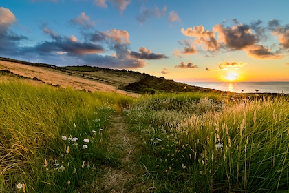 Road Trip Sao Miguel, l'île verte des Açores - TUI