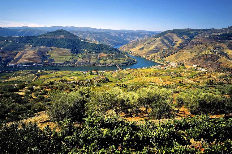 Circuit Saveurs du Portugal et extension à Lisbonne - TUI