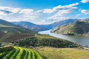 Vallée viticole du Douro