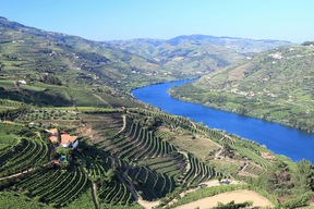 Les rives du Douro