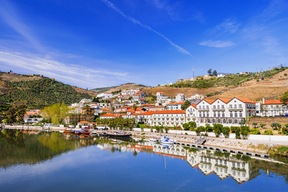 Pinhão