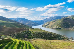 Vallée viticole de Douro