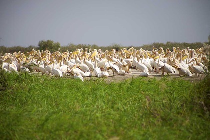Croisière À bord du Bou el Mogdad - TUI
