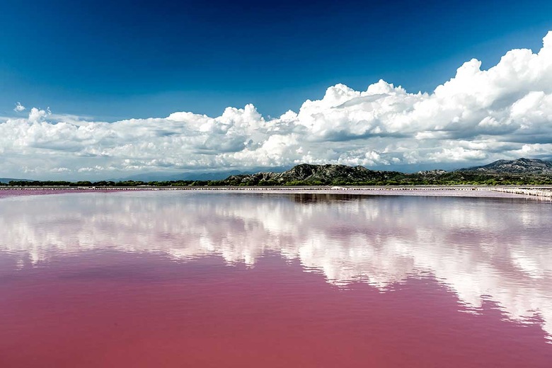 Lac rose