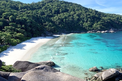 Circuit Majestueuse Thaïlande + Extension 3 nuits Cham Am Hôtel Centara Life beach resort 3* - Départs 2026 - TUI