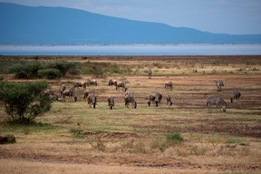 Parc National de Manyara