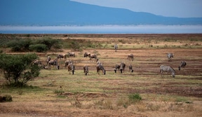 Parc National de Manyara