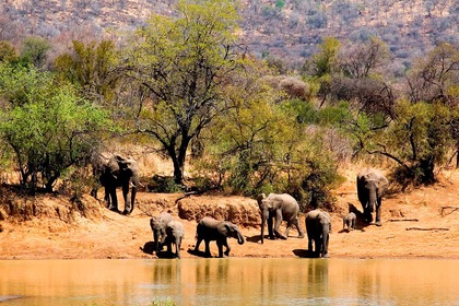 Circuit Immersif - Inoubliable Tanzanie - TUI