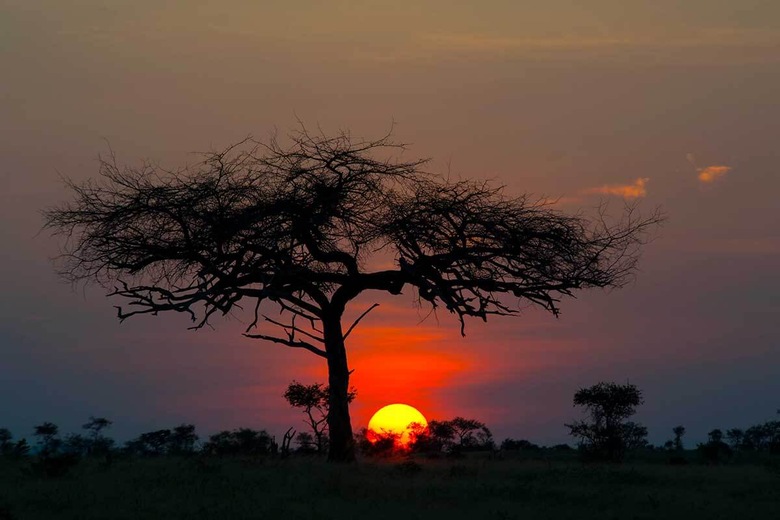 Couché de soleil