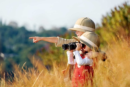 Circuit privé Chuuut... le lion dort ! - TUI