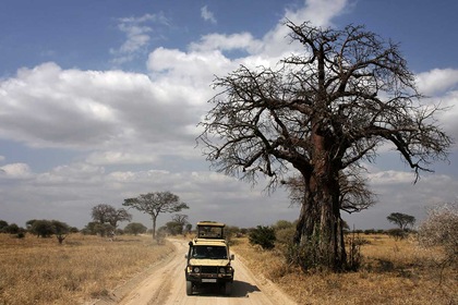 Circuit privé Chuuut... le lion dort ! - TUI