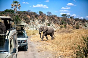 Parc du Tarangire