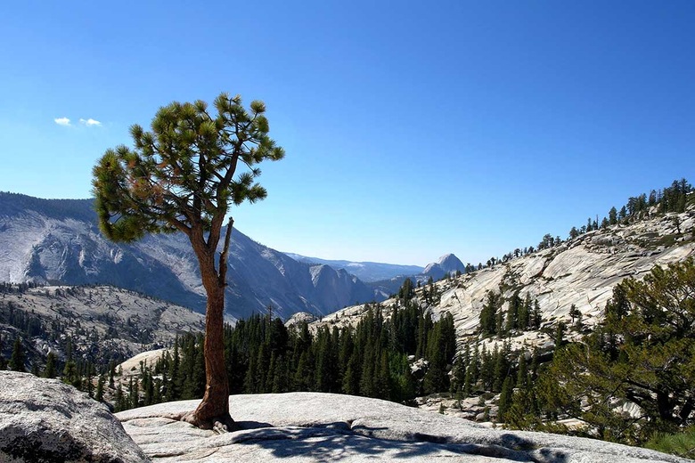 Yosemite