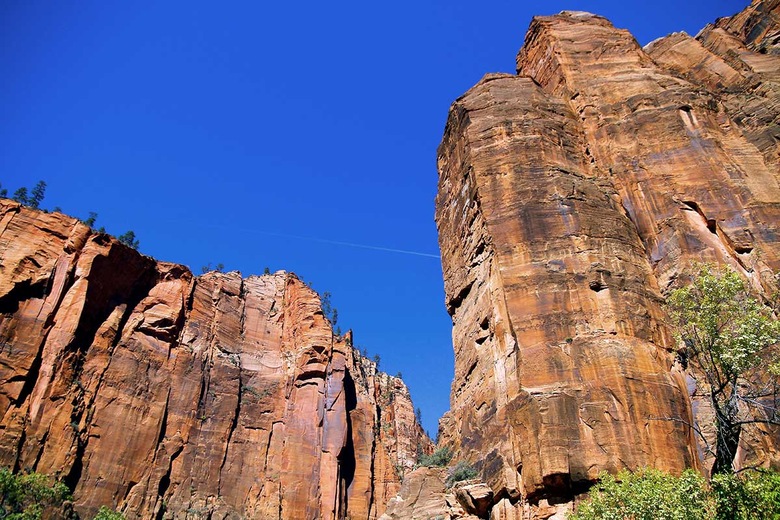 Le parc de Zion
