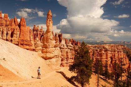 Road Trip Grand Ouest + Extension Côte californienne - TUI