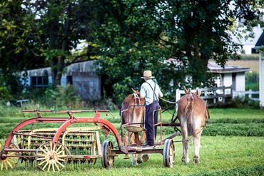 Road Trip Des Amish à Pocahontas - Itinéraire Impression - TUI