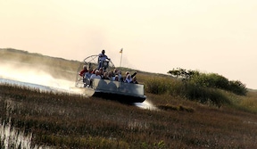 Tour en airboat, Everglades