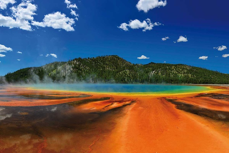 Yellowstone