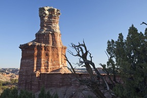 Canyon Palo Duro