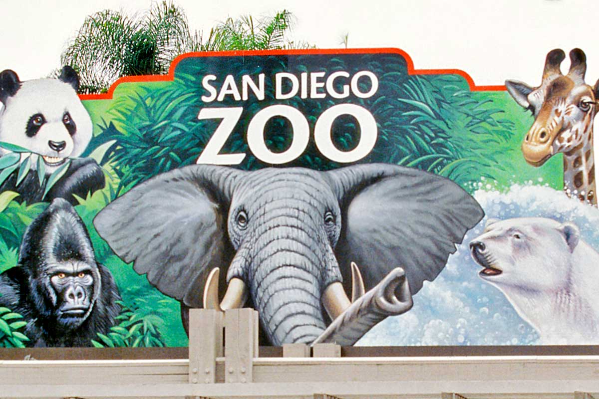 Зоо со. San Diego Zoo антистресс. Мел 