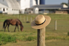 Amish
