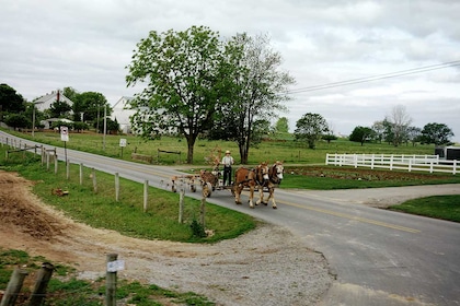 Circuit Clin d'oeil à l'Est - TUI