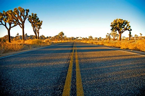 Circuit Grand Tour De L Ouest Rocheuses Parcs Et