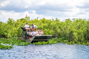 Les Everglades
