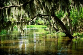 Avery Island