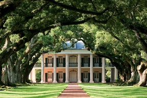 Plantation Oak Alley