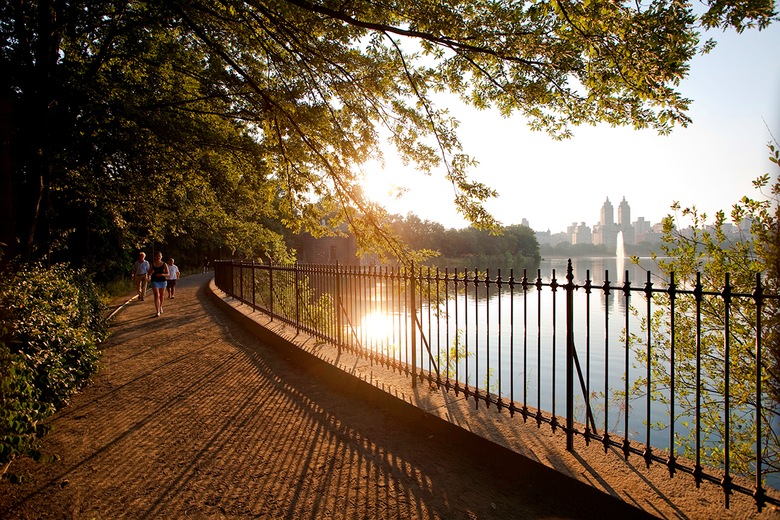 Central Park, New York