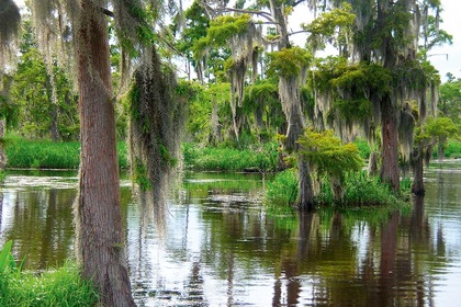 Circuit Bayous et plantations - TUI