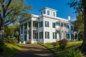 Natchez