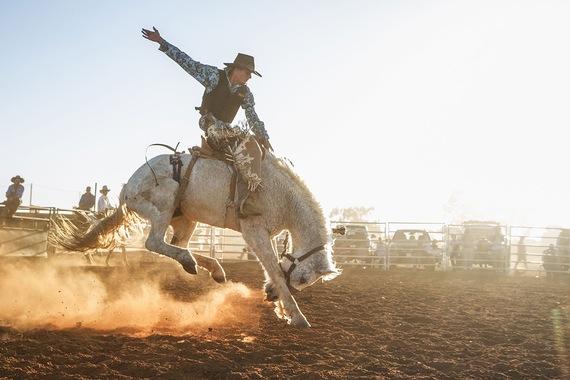 Circuit Cowboys et Yellowstone entre nous- TUI Circuit Cowboys et Yellowstone entre nous- TUI