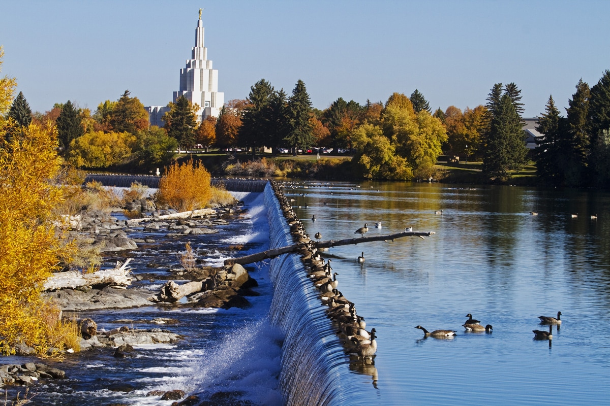 Image 11 du séjour Circuit De Yellowstone au Pacifique entre nous à San francisco, Etats-Unis