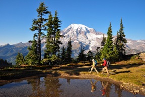 Mont Rainier National Park
