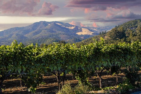 Napa Valley