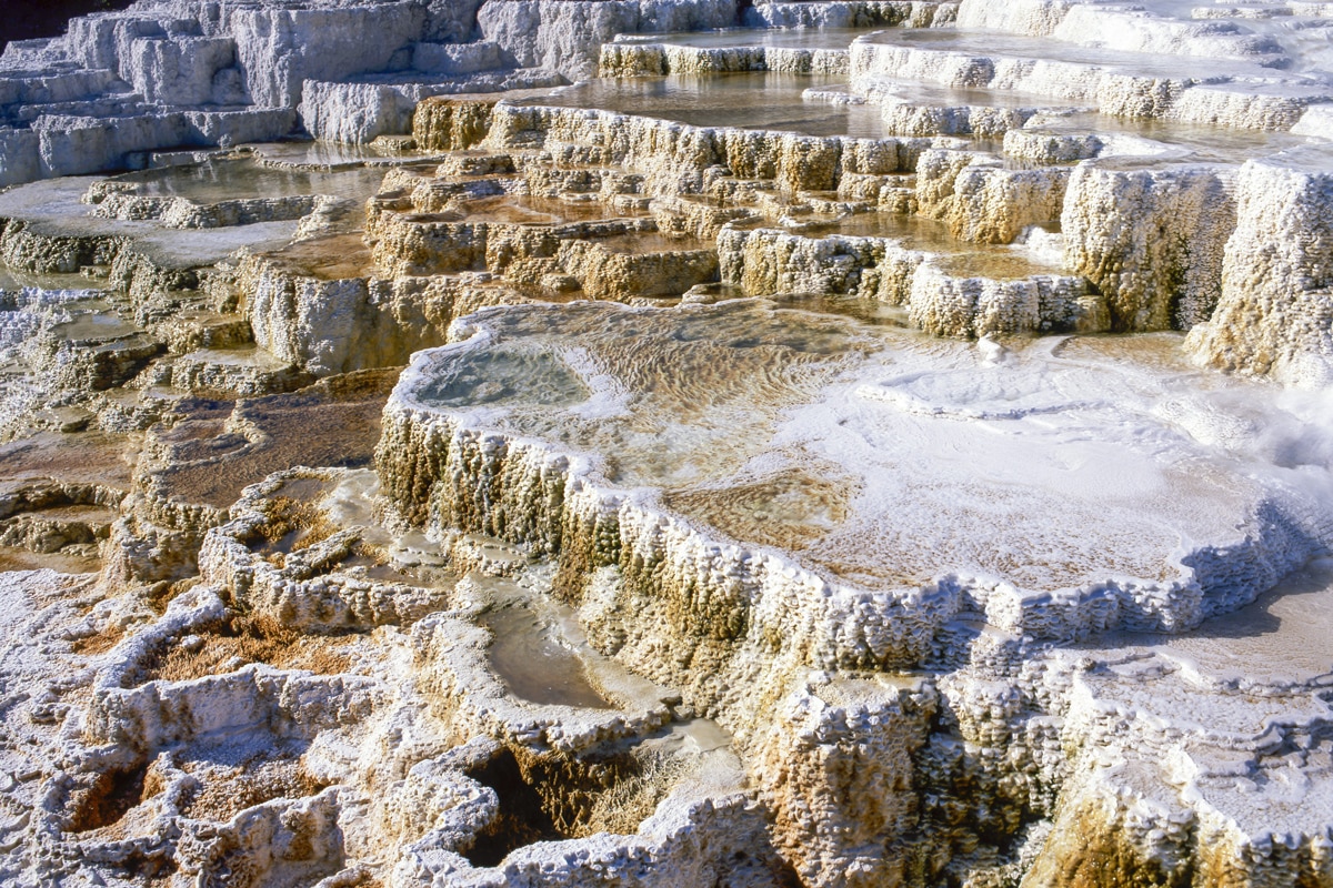Image 13 du séjour Circuit De Yellowstone au Pacifique entre nous à San francisco, Etats-Unis