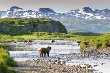 Croisière Alaska et Colombie-Britannique - arrivée Seattle / départ Vancouver - TUI