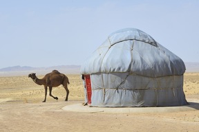Camp de yourtes