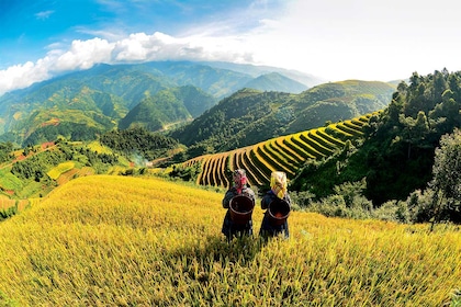 Circuit La route mandarine - TUI