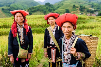 Circuit Vietnam Multicolore - TUI